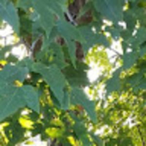 Meet your Posher, Krystyne